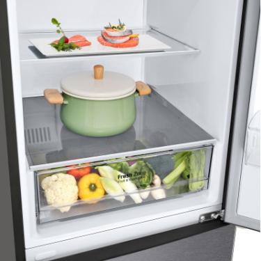 Холодильник LG GW-B509CLZM Фото 7