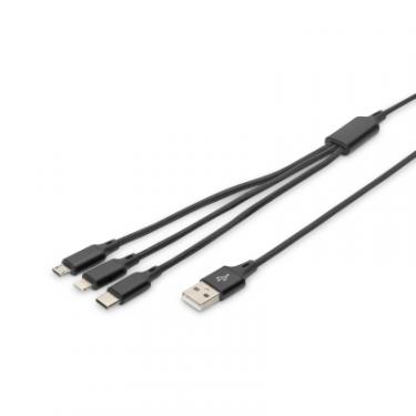 Дата кабель Digitus USB 2.0 AM to Lightning + Micro 5P + Type-C 1.0m c Фото