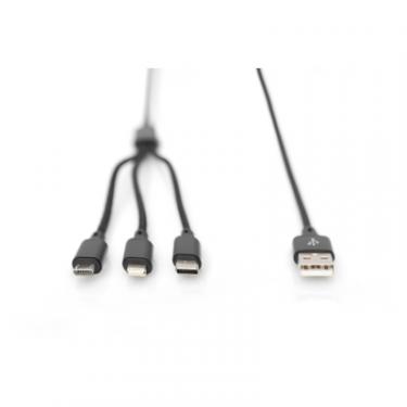 Дата кабель Digitus USB 2.0 AM to Lightning + Micro 5P + Type-C 1.0m c Фото 5