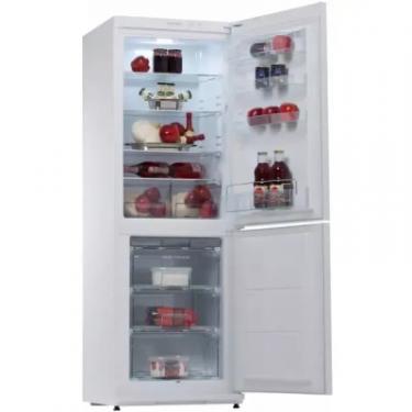 Холодильник Snaige RF 31 SМS0002E Фото 2