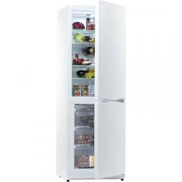 Холодильник Snaige RF31SM-S0002E Фото 3