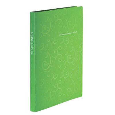 Папка-скоросшиватель Buromax А4 BAROCCO, light green Фото