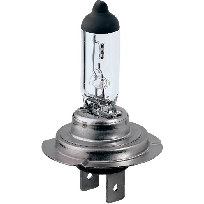 Автолампа Bosch галогенова 55W Фото