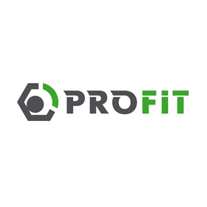 Воздушный фильтр для автомобиля Profit 1512-4196 Фото