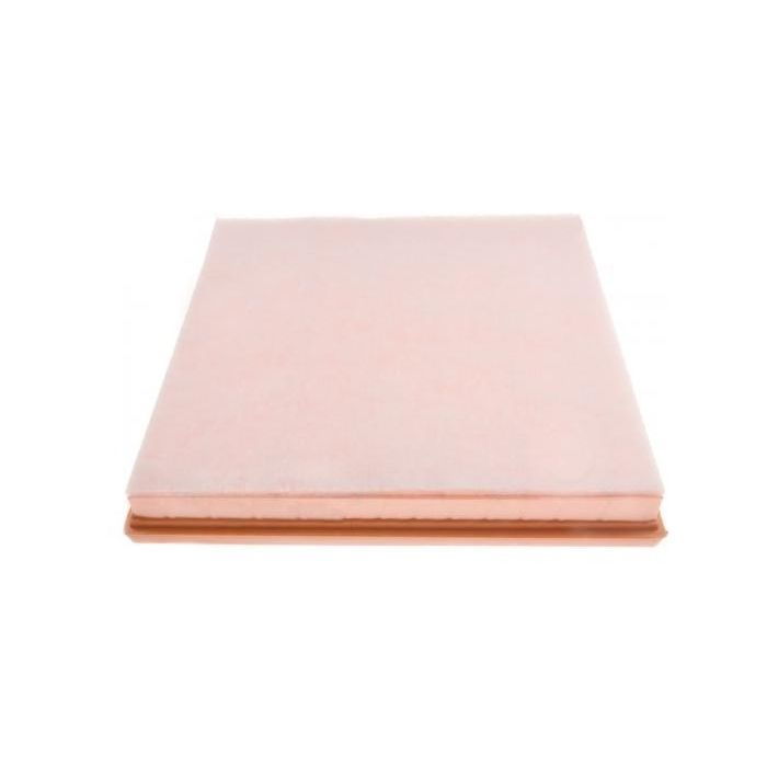 Воздушный фильтр для автомобиля Profit 1512-3148 Фото