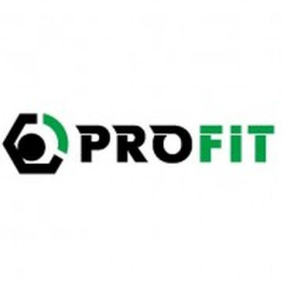 Воздушный фильтр для автомобиля Profit 1512-4282 Фото