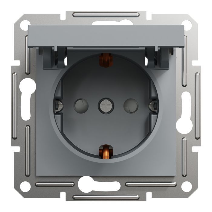 Розетка Schneider Electric ASFORA з кришкою, сталь Фото