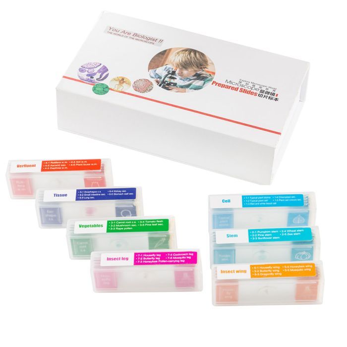 Набор микропрепаратов Sigeta Biologist Set (35 шт) Фото