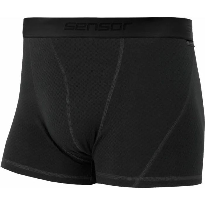 Термотрусы Sensor Merino DF black 15100027 M Фото