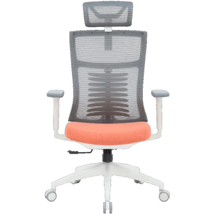 Офисное кресло OfficePro Balance OC550-W-DG-OR Фото