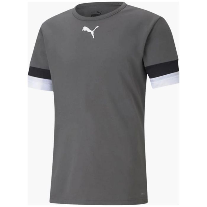 Футболка Puma teamRISE Jersey 704932-13 сірий XXXL Фото